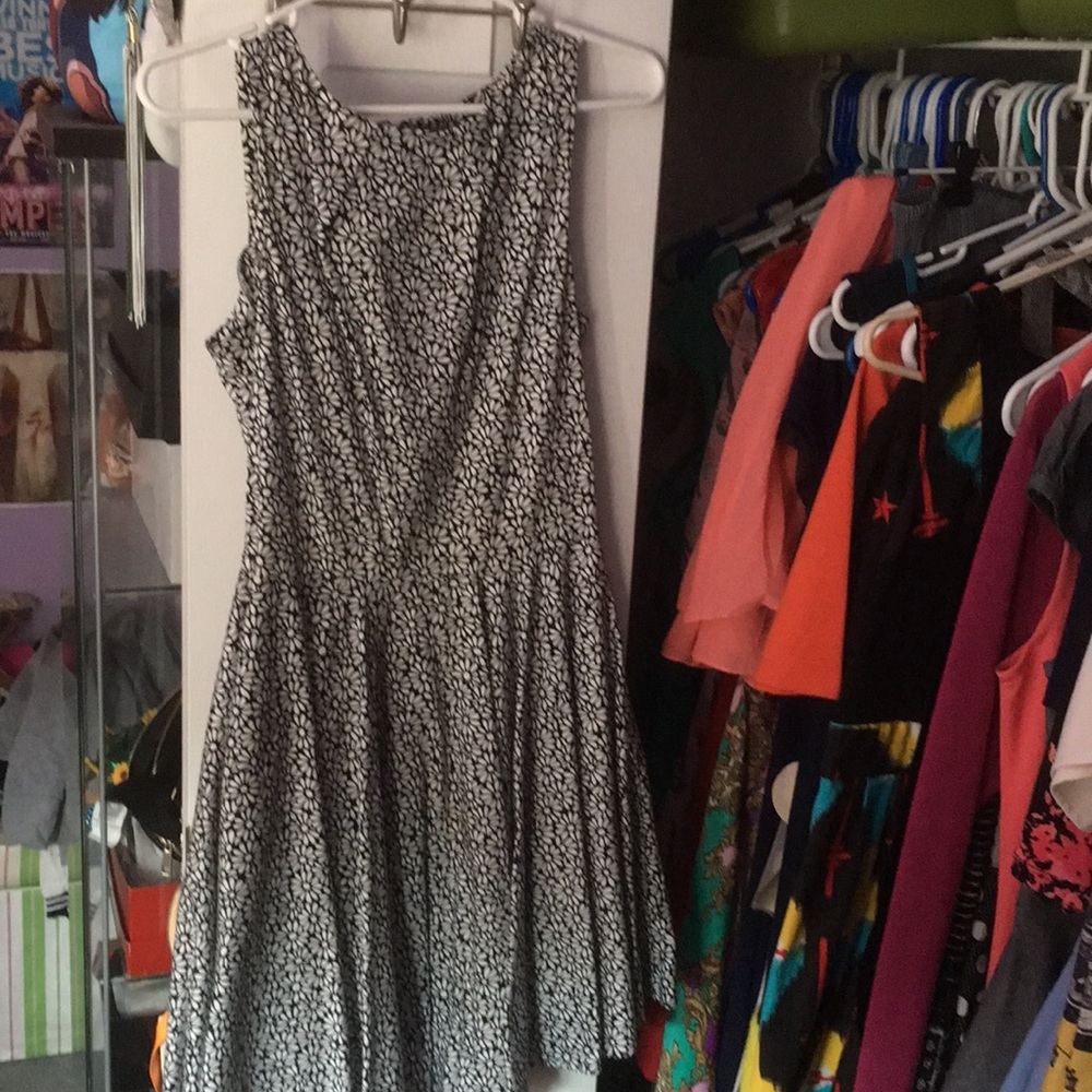 Luck Be a Lady Dress in Daisy